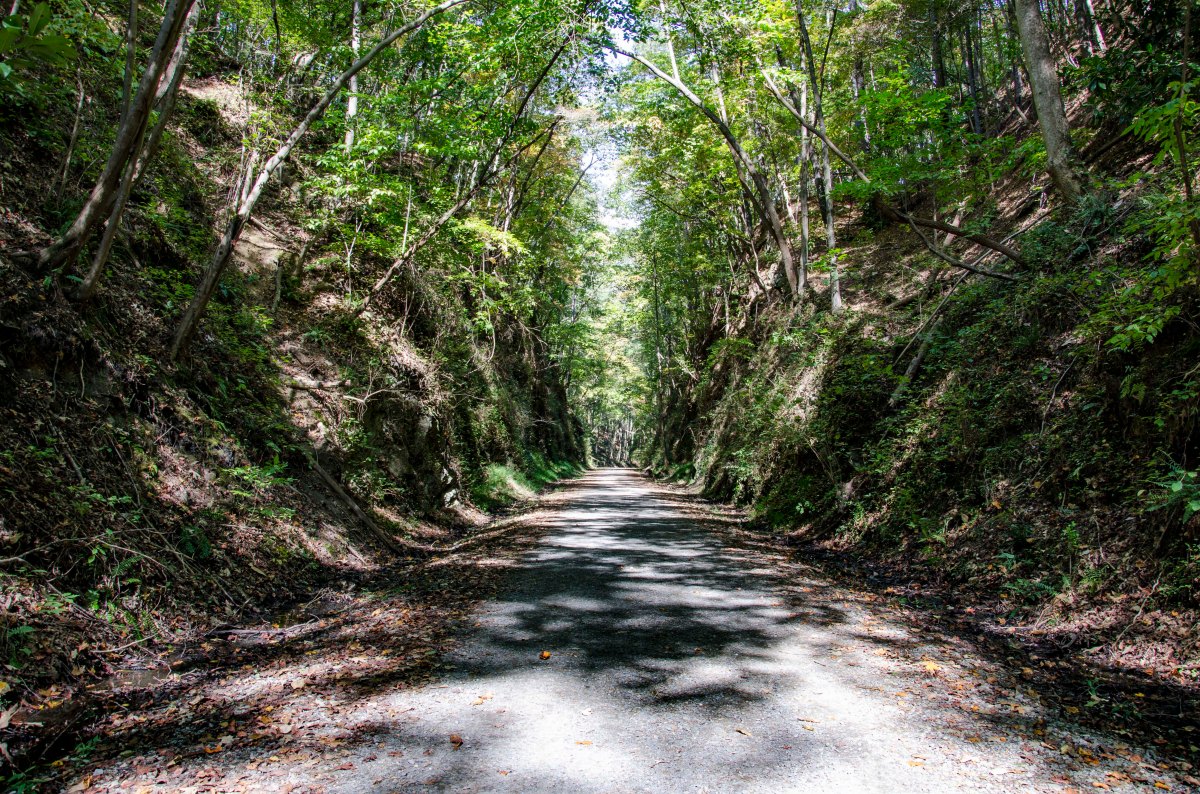 The Battle of Allatoona&nbsp;Pass